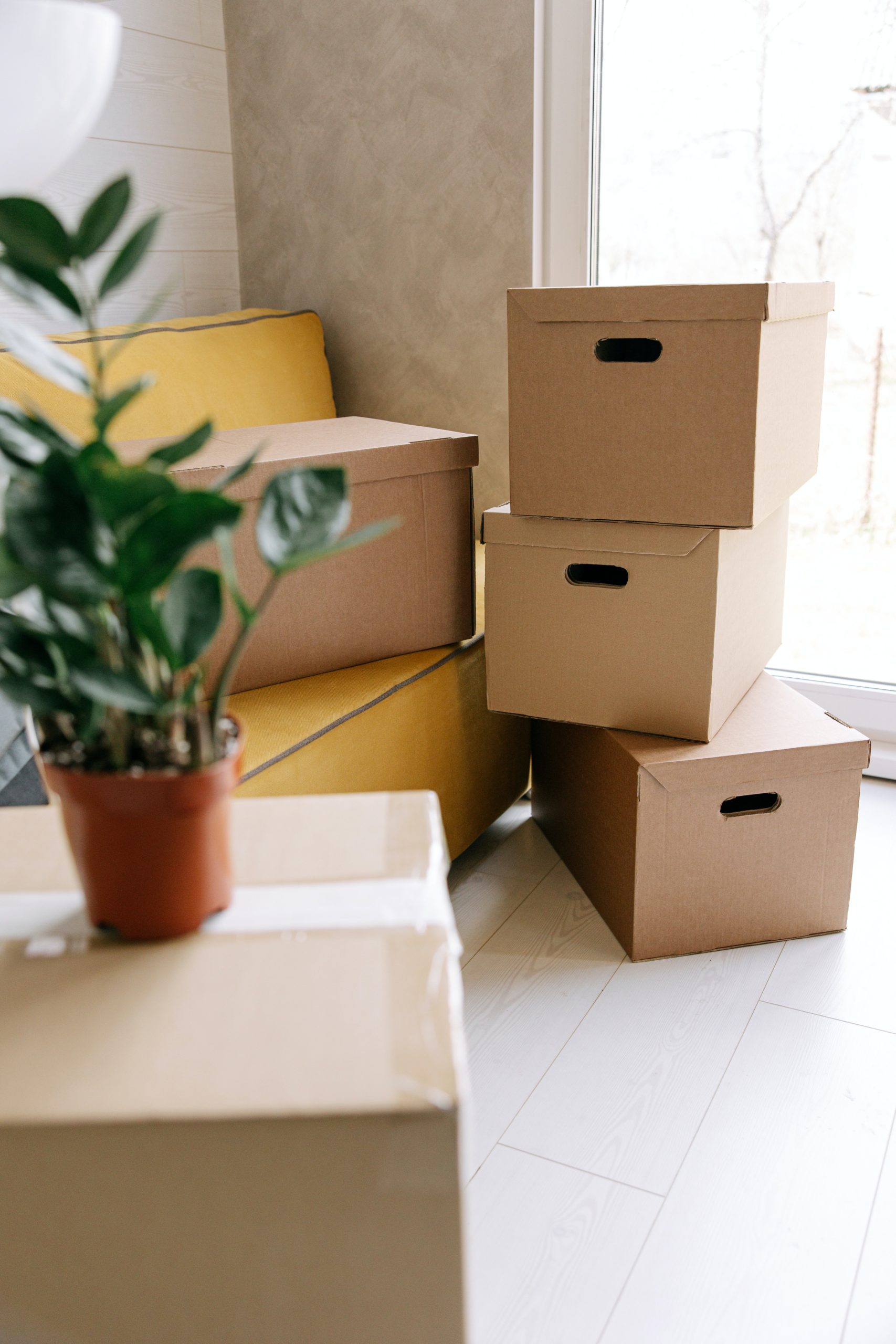 Moving your Business ?
